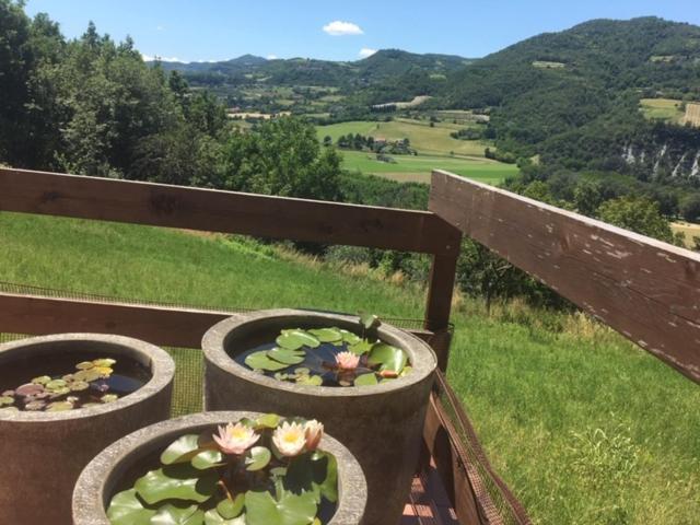 Casa Petra - Casa Tre Stelle - Casa Caneva - Ferien Fuer 6-14 Personen Ponti Bagian luar foto