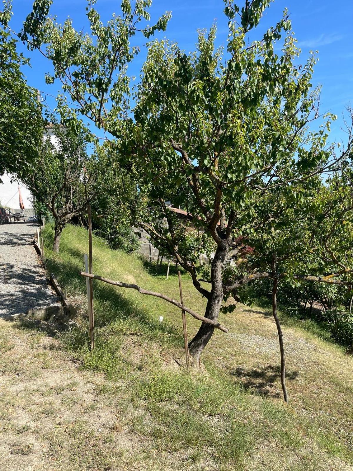 Casa Petra - Casa Tre Stelle - Casa Caneva - Ferien Fuer 6-14 Personen Ponti Bagian luar foto
